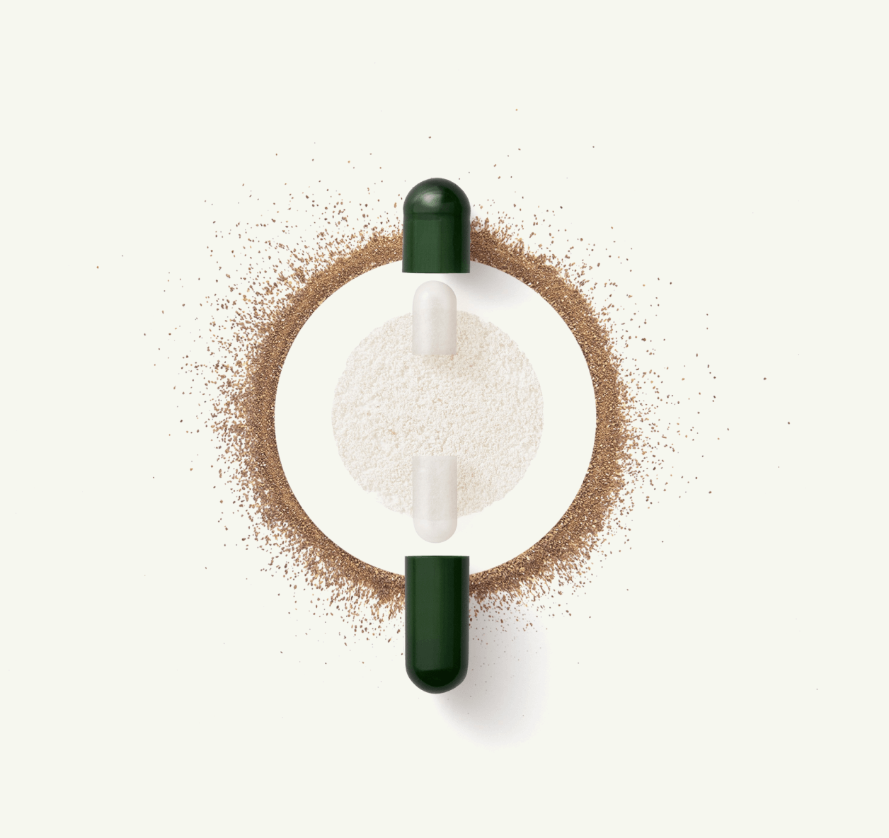 Illustration of the 24 strain formula blend