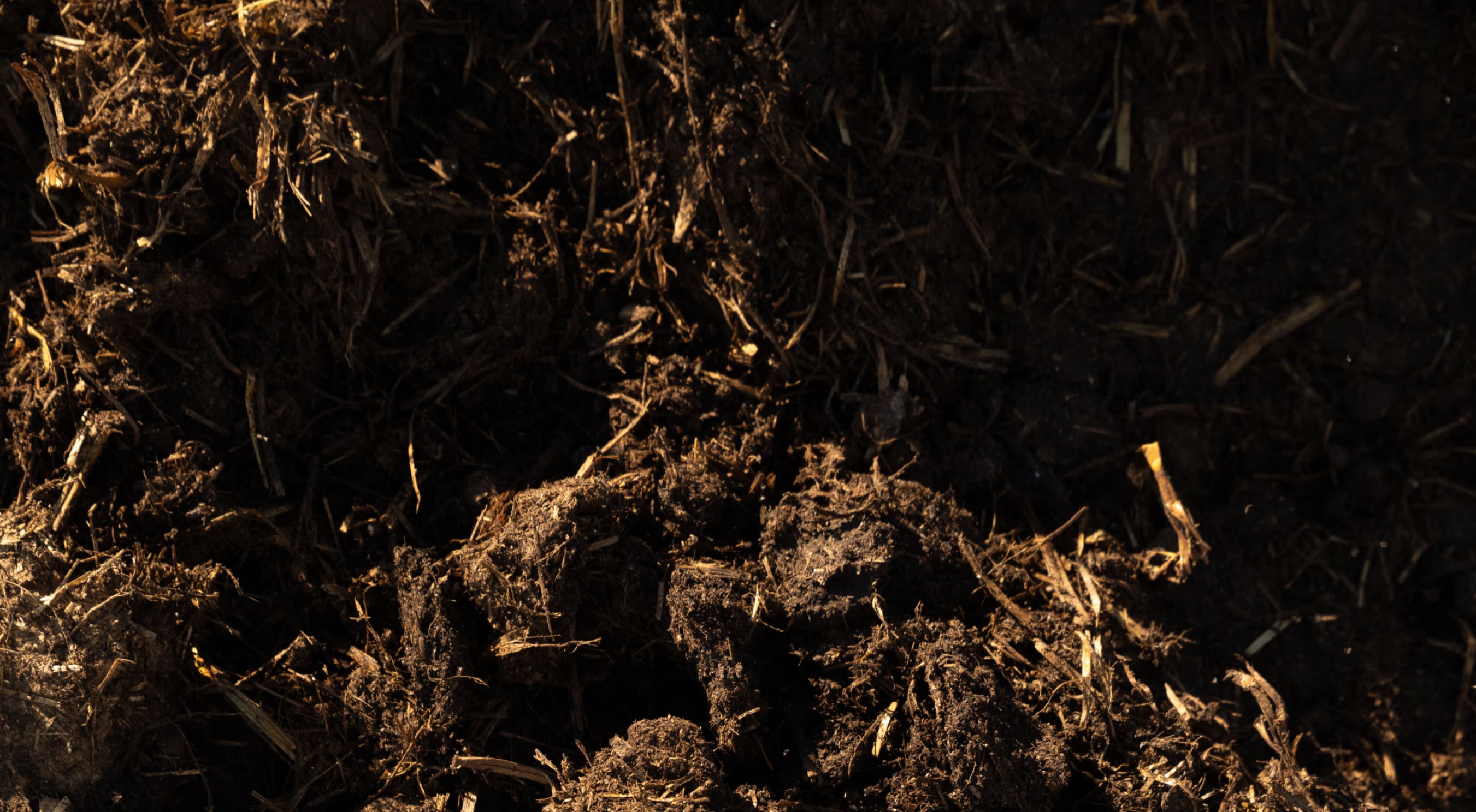 Soil